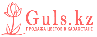 Шемонаиха